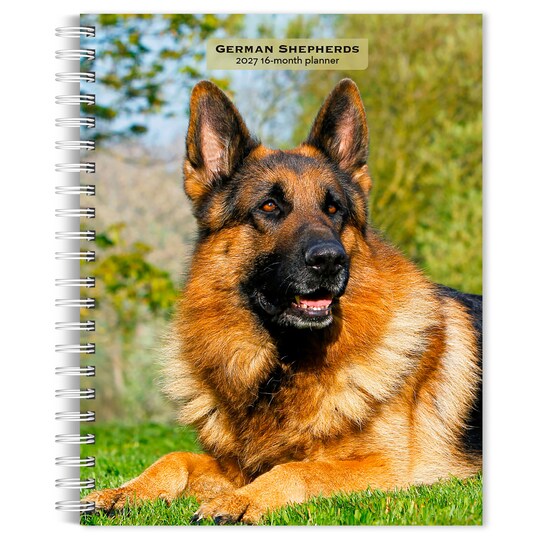 BrownTrout; German Shepherds | 2027 6 x 7.75 Inch Spiral-Bound Wire-O Weekly Engagement Planner Calendar | New Full-Color Image Every Week; Category:Planners; Image:1